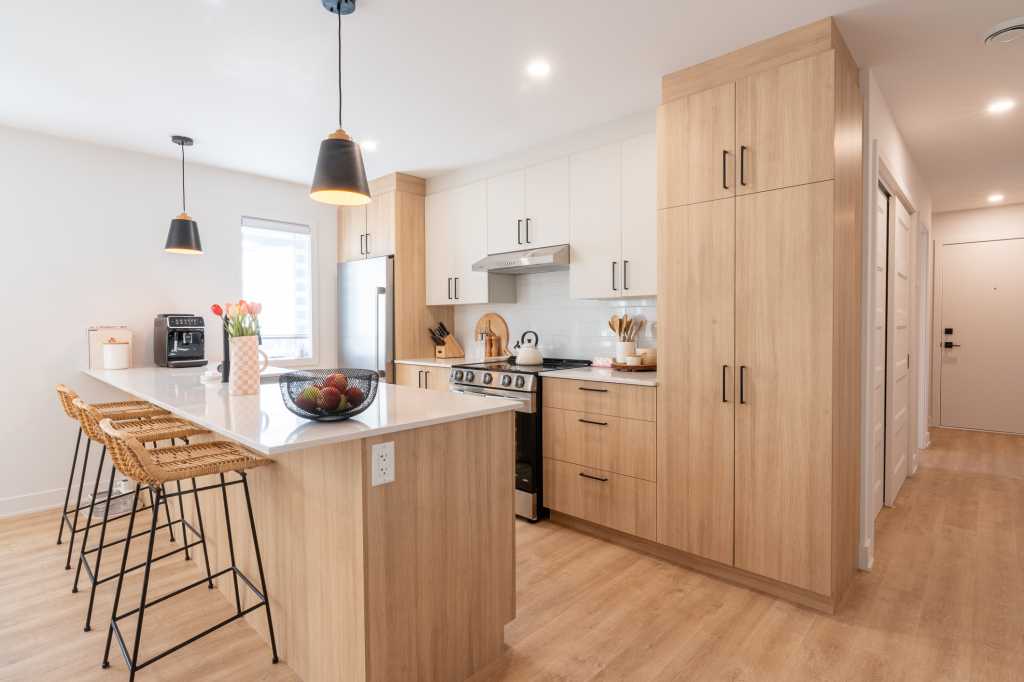 4 1/2 AVEC ÉLECTROS - Avril 2026 | 3228766