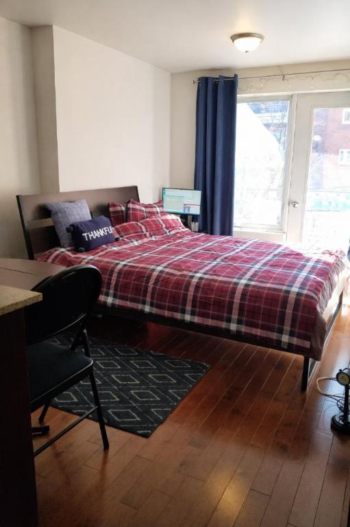 Studio - Montréal - $950 /mo | 3228836