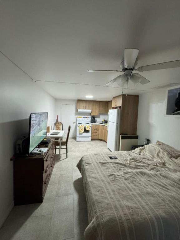 Beau Studio 1 1/2 a Brossard Secteur A Pres de Trascherau et Panama | 3228837