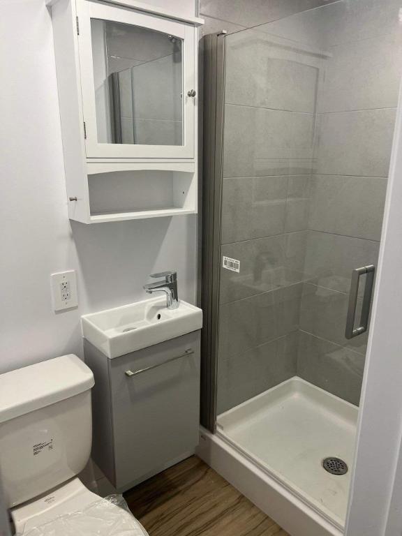 Studio - Montréal - $1,095 /mo | 3228853