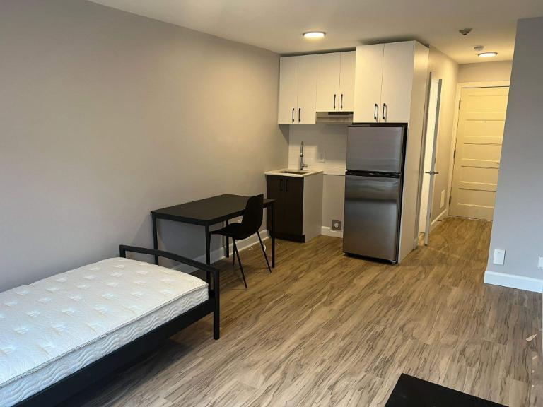 Studio - Montréal - $1,095 /mo | 3228853