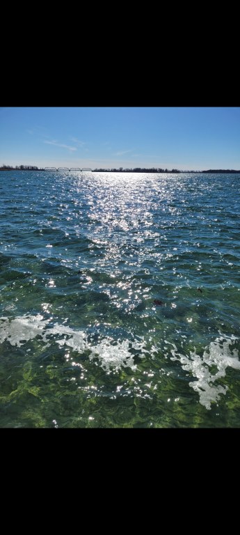 BORD-DE-L'EAU NAVIGABLE | 3228876