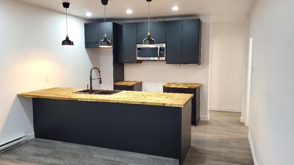 BEAU et GRAND 4 1/2 AU SOUS-SOL REFAIT À NEUF À LOUER DÈS MAINTENENT | 3228924