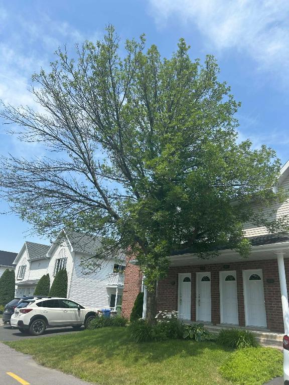 4 1/2 à louer Cap-Rouge | 3228974