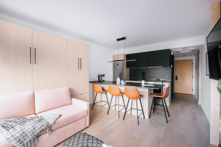 Loft entièrement meublé à louer Saint-Jean-Baptiste août 2026 | 3293348