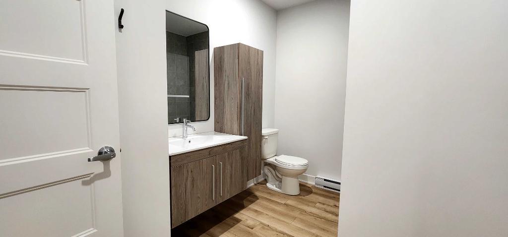 Brière - CONDO 4 1/2 NEUF ** ANIMAUX PERMIS | 3228983