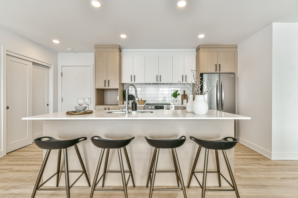 Superbe 4 ½ à Charlemagne | 3229054