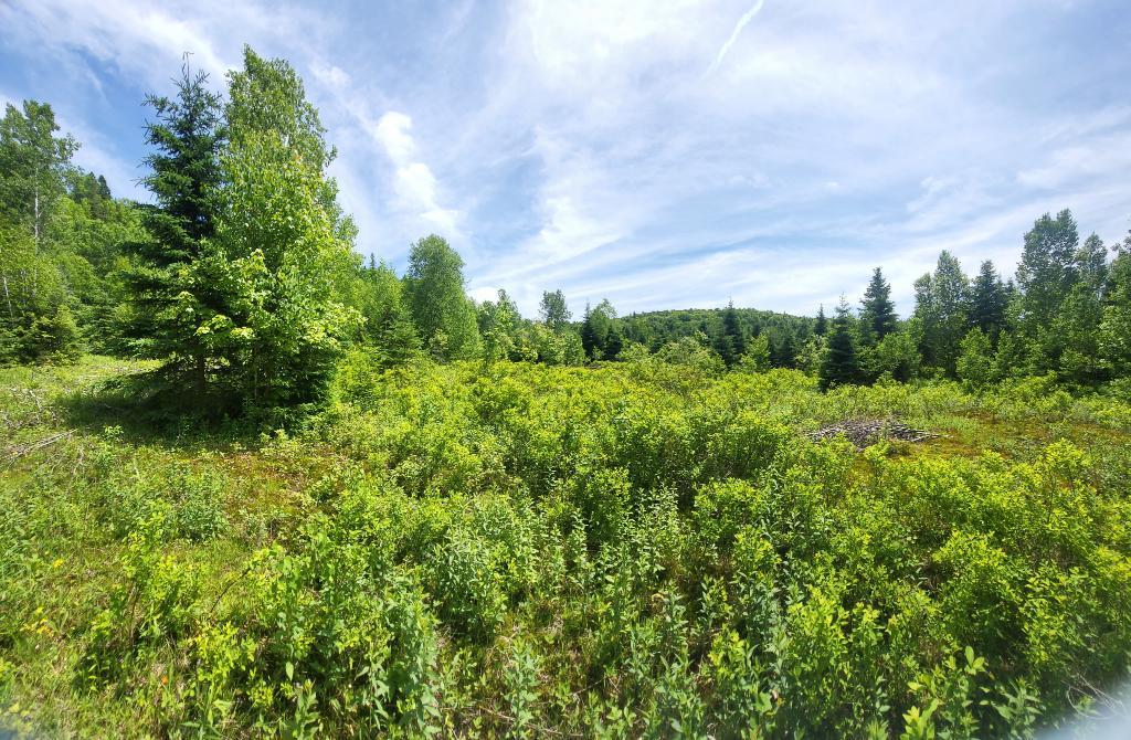 Terrain à vendre à Saint-donat de Montcalm | 3229105