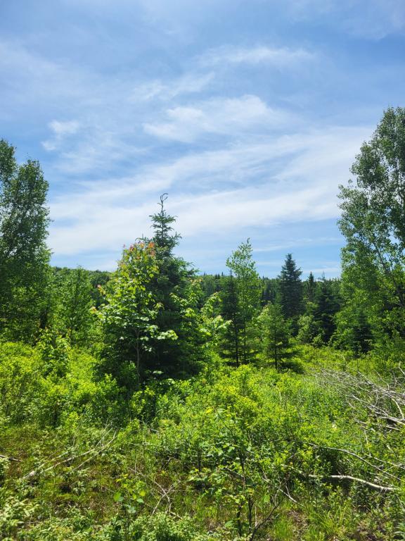 Terrain à vendre à Saint-donat de Montcalm | 3229105
