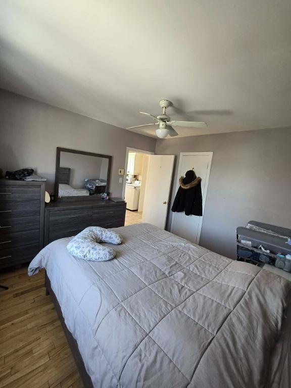 Très beau 4 1/2 près de TOUT et TRANQUILLE !!! | 3229166