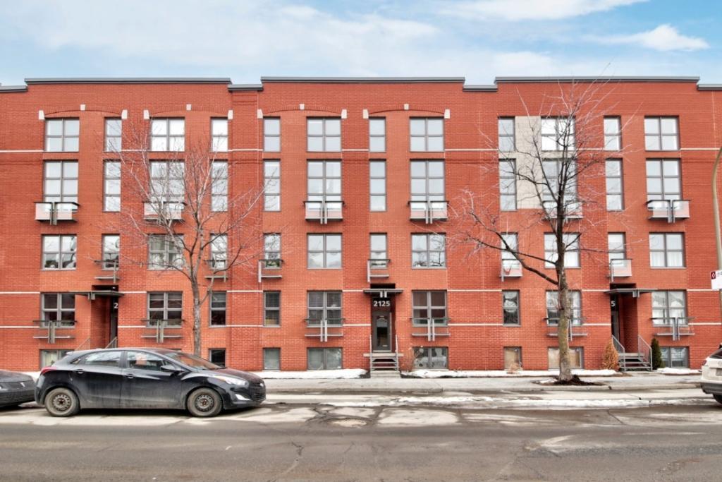 Grand 3 1/2 - Hochelaga-Maisonneuve | 3229183