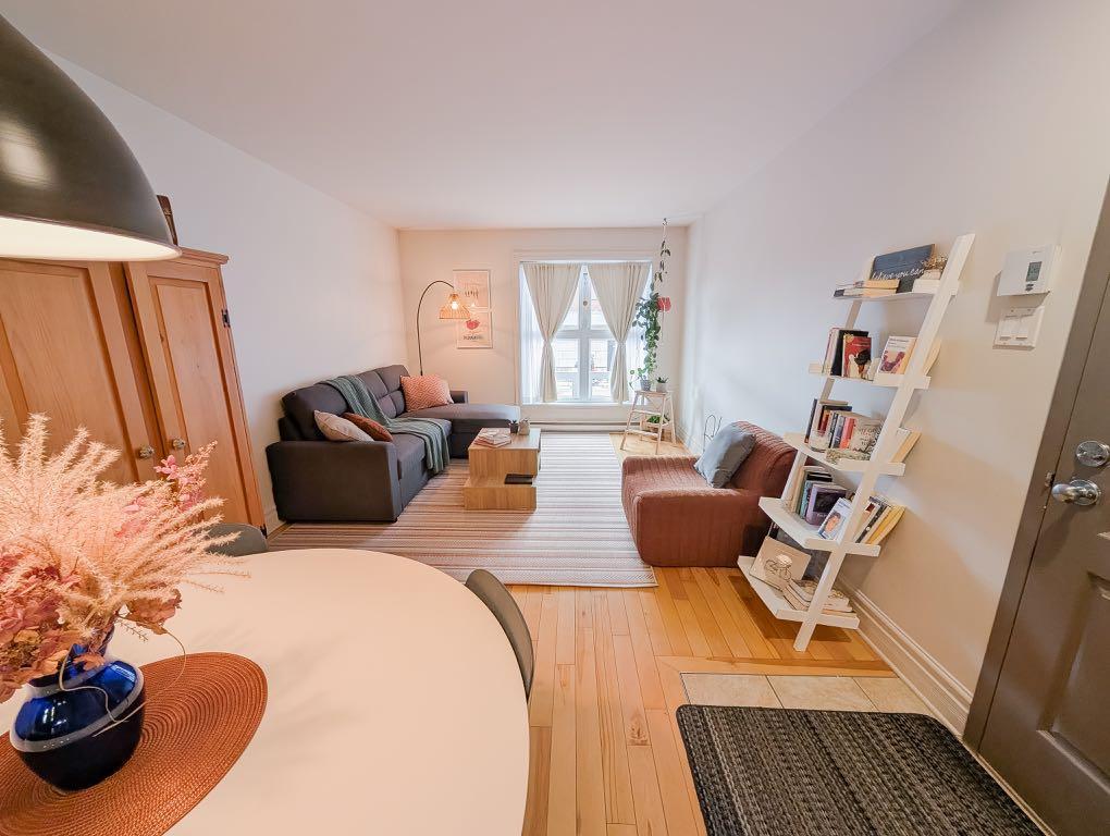 Grand 3 1/2 - Hochelaga-Maisonneuve | 3229183