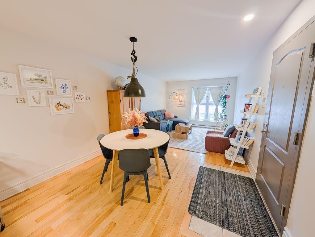 Grand 3 1/2 - Hochelaga-Maisonneuve | 3229183