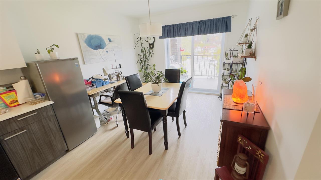 Immeuble - 299 Chemin Plante Appartement à Louer – 3 Et Demi | 3229290