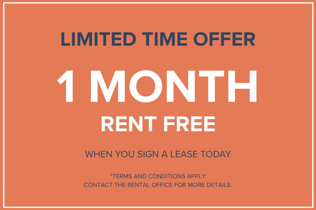 1 Bedroom Available At 8300, Boul. Du St-Laurent, Brossard - 8300, Boul. Du St-Laurent, Brossard | 3229424