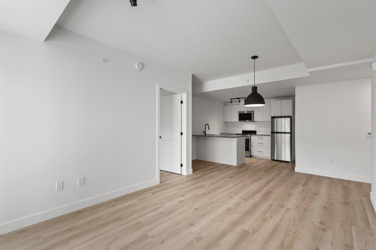 Studio - 1133 Avenue Viger Est, Montréal | 3229429