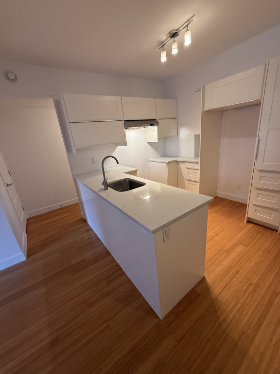 Superbe 4 1/2 Deux Chambres Fermées | 3229438