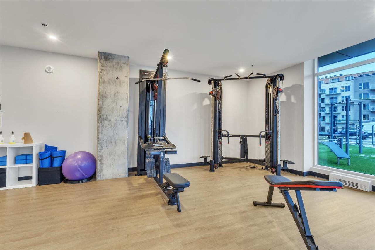 1 Bedroom - 1819 Avenue Dollard, LaSalle | 3229469