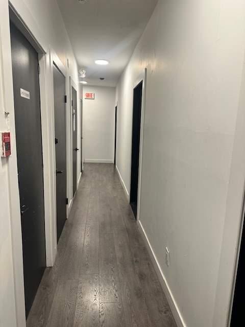 Studio - Montréal - $695 /mo | 3229614