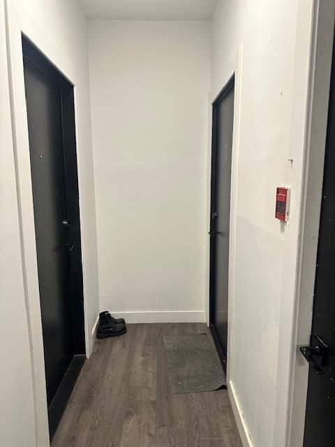 Studio - Montréal - $695 /mo | 3229615