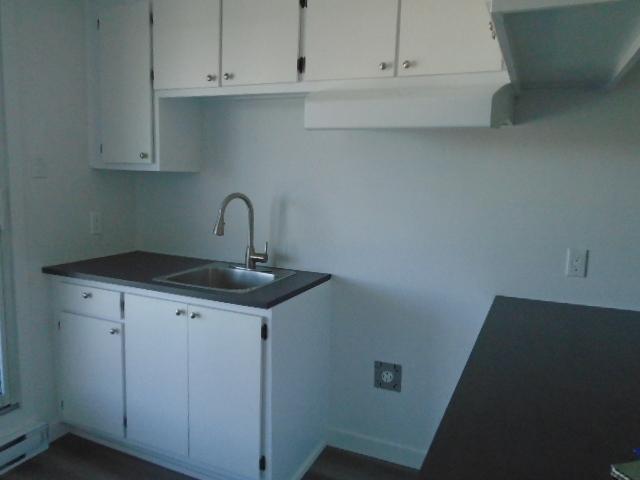 4 ½ Jarry et Langelier Montréal rénové LIBRE | 3229670