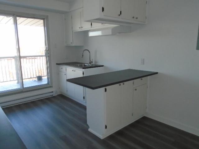 4 ½ Jarry et Langelier Montréal rénové LIBRE | 3229670