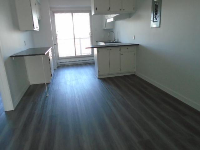 4 ½ Jarry et Langelier Montréal rénové LIBRE | 3229670