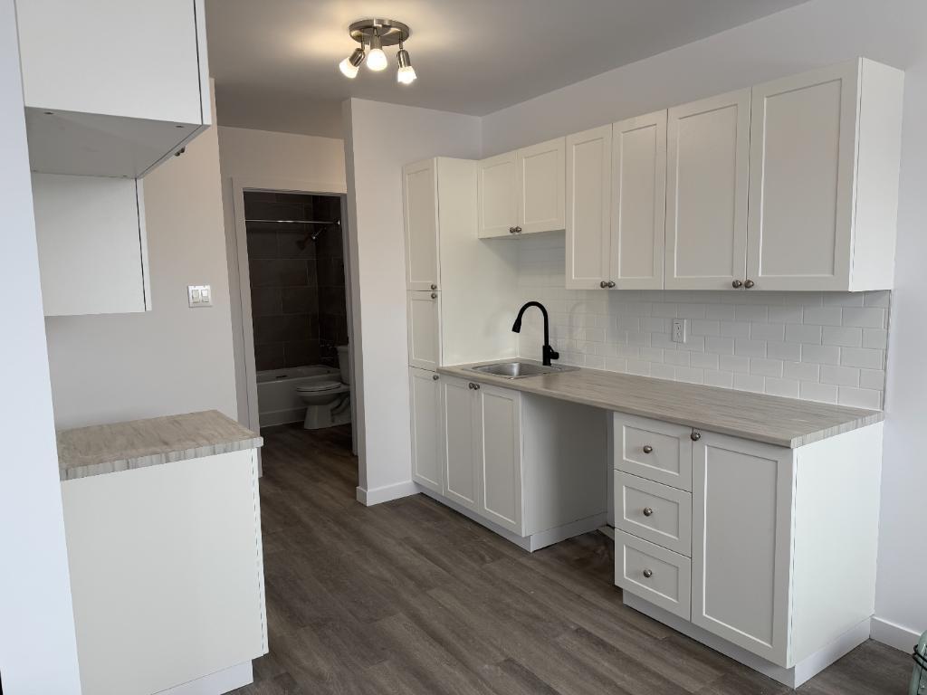 MAGNIFIQUE 5 1/2 - RÉNOVÉ - LIBRE IMMÉDIATEMENT - MOIS GRATUIT | 3229693