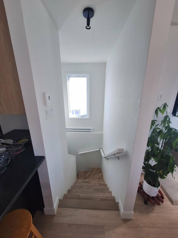Magnifique 5 1/2 | 3280164