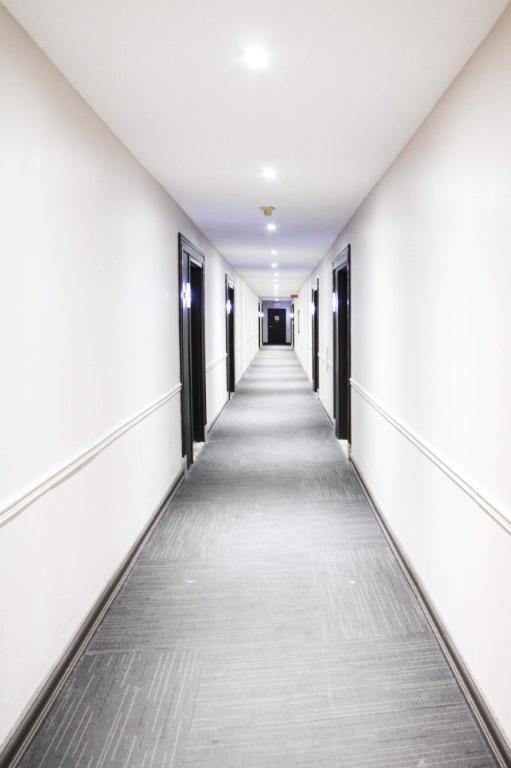 2 CH - 1 SDB - Montréal - $1,600 /mo | 3229712