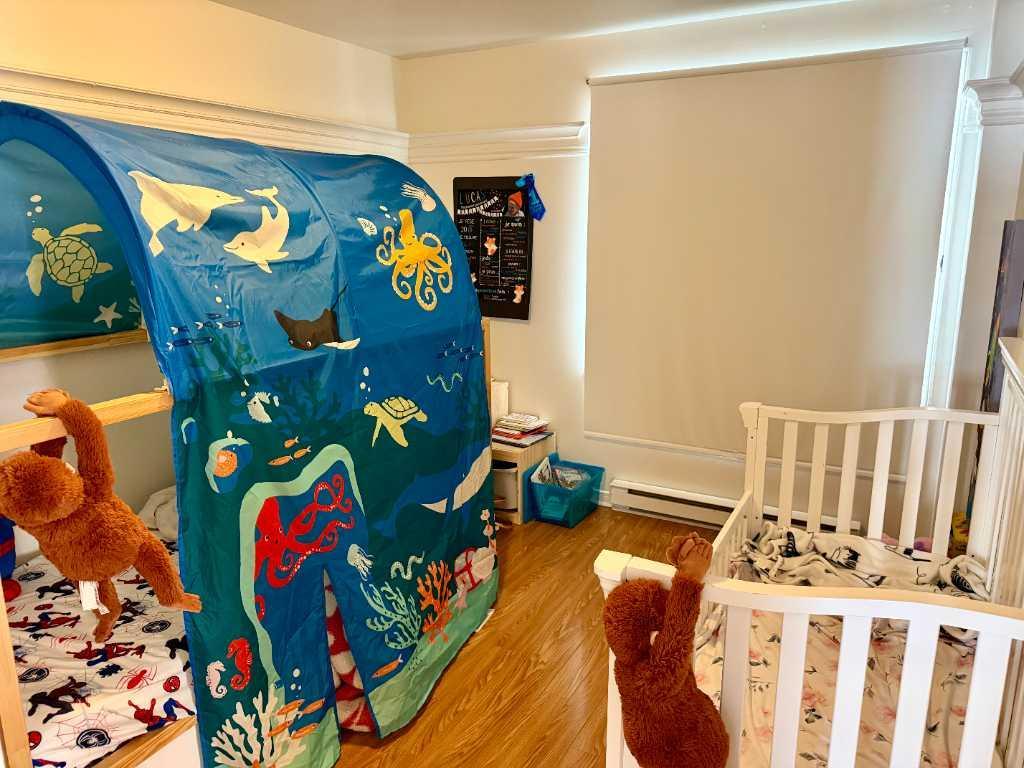 Appartement 4 1/2 à louer | 3229717