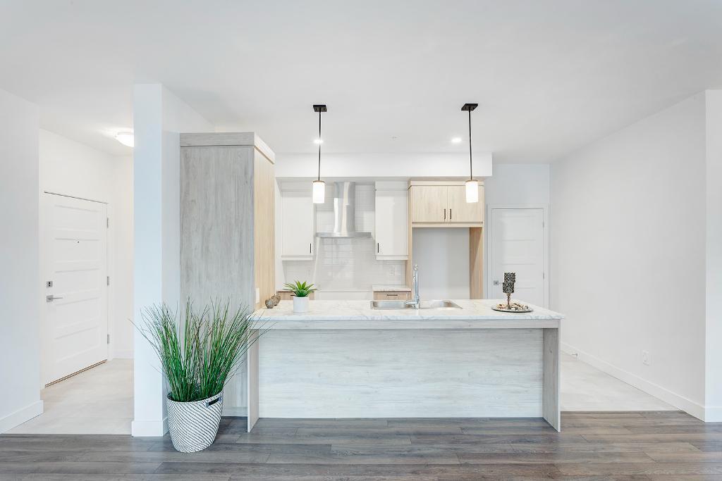 PLUSIEURS 4 1/2 - PLAFONDS 9 PIEDS - ASCENSEUR - DIPOSNIBLES IMMÉDIATEMENT OU JUILLET | 3229718