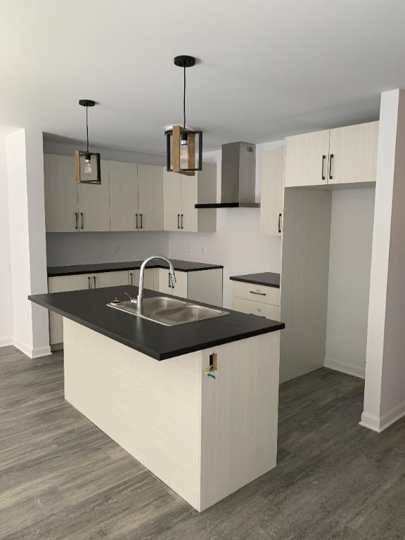 MAGNIFIQUES 51/2 - LIBRE IMMÉDIATEMENT ET JUILLET 2026 | 3229719