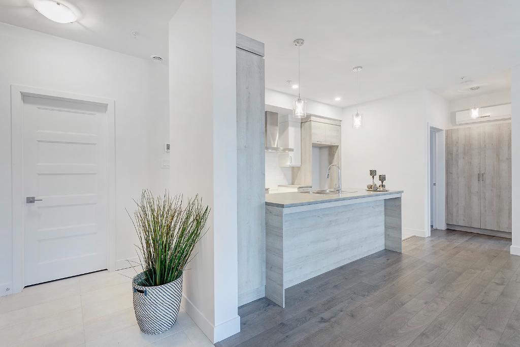 MAGNIFIQUES 4 1/2 - LIBRE IMMÉDIATEMENT OU JUILLET - ASCENSEUR | 3229725