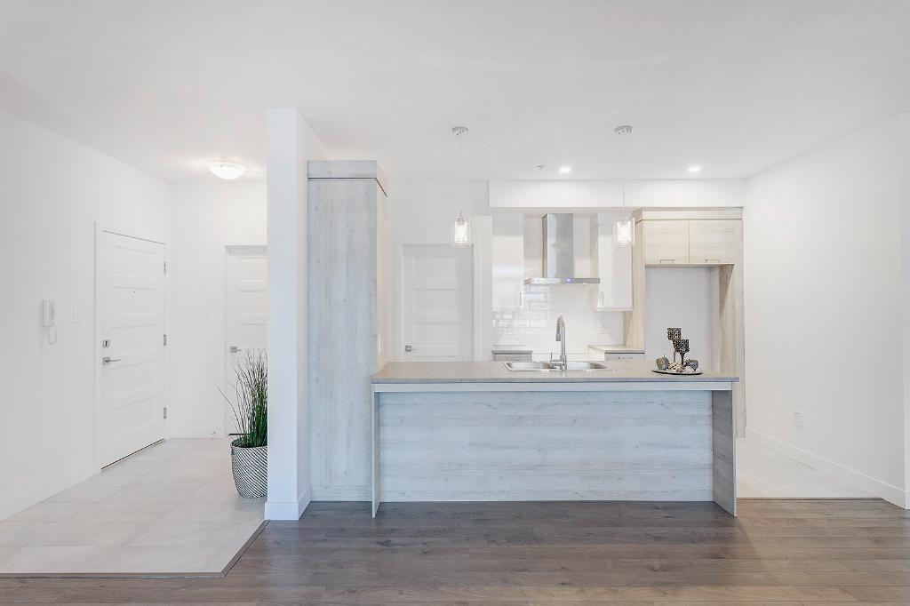 MAGNIFIQUES 4 1/2 - LIBRE IMMÉDIATEMENT OU JUILLET - ASCENSEUR | 3229725