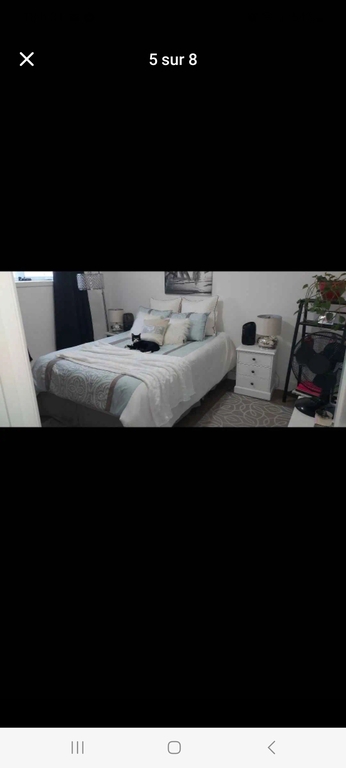 Superbe Condo 4 1/2 Pour Gens 50 Ans Et | 3229881