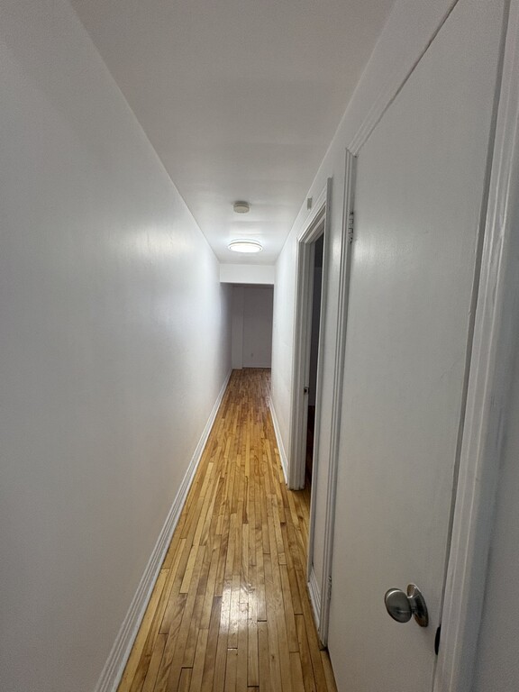 Grand 3 1/2 Lumineux Et Propre | 3217122