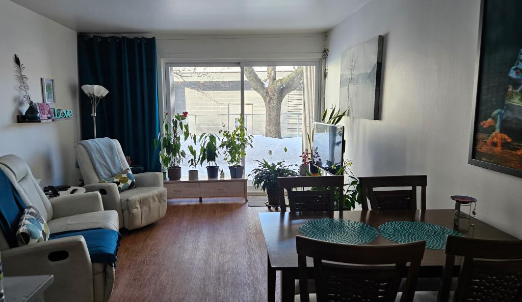 3 1/2 chauffé éclairé 1er Juillet, UQAR, CFP Lévis centre-ville | 3230689