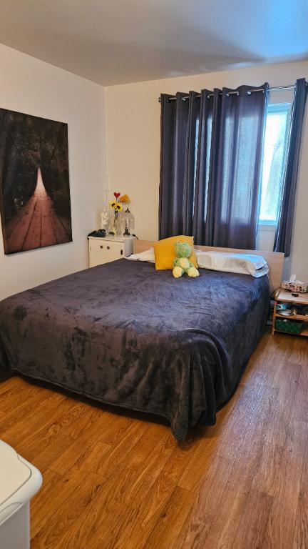 3 1/2 chauffé éclairé 1er Juillet, UQAR, CFP Lévis centre-ville | 3230689