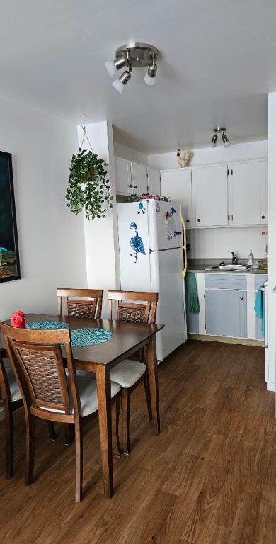 3 1/2 chauffé éclairé 1er Juillet, UQAR, CFP Lévis centre-ville | 3230689