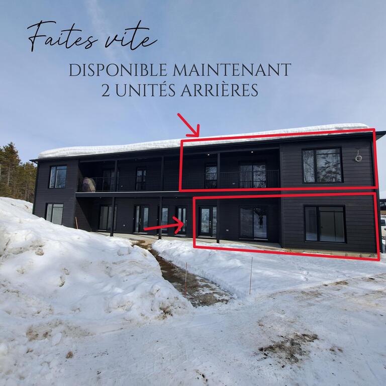 Appartements 4 1/2 Avec Garage à Louer | 3220582