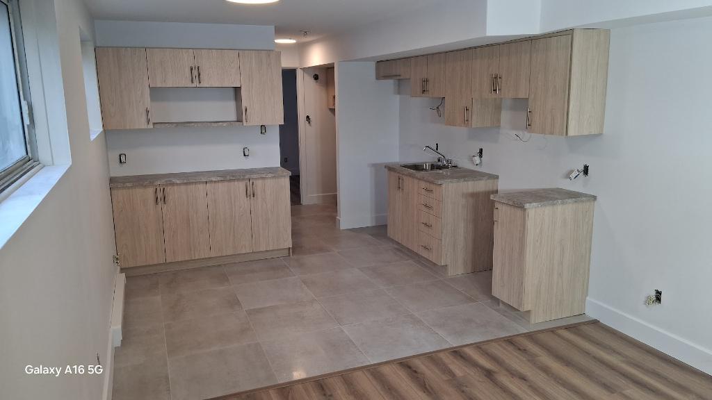 3 1/2 neuf de A à Z, electros, tranquilité et respect | 3231604