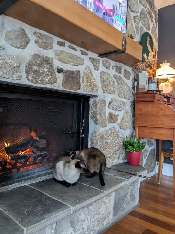 Maison à louer – 2+1 chambres, 1,5 salle de bain – Piedmont | 3231735