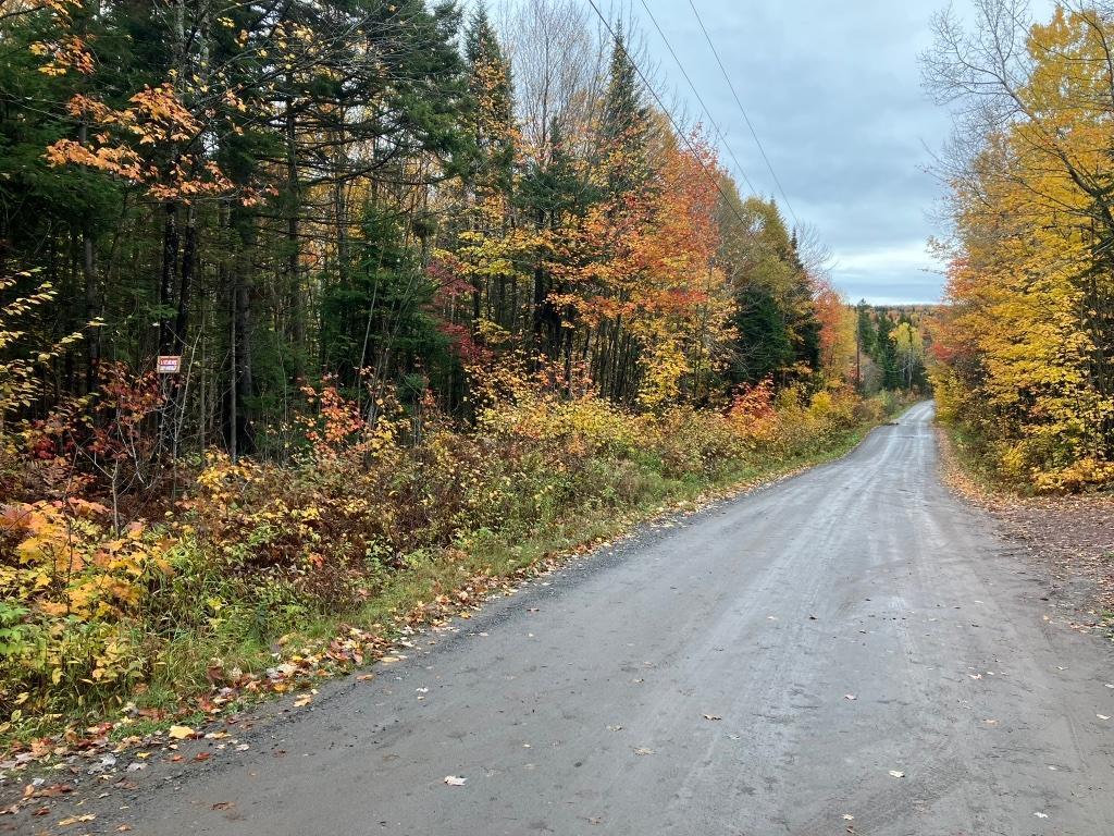 Terre a bois | 3231745