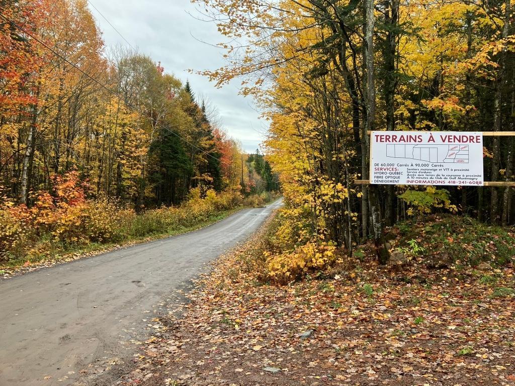 Terre a bois | 3231745