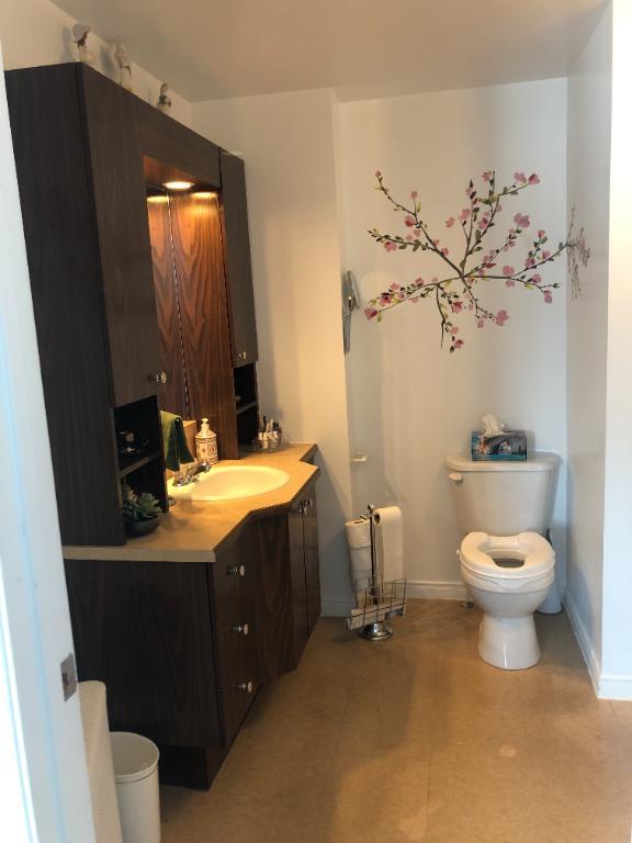 4 1/2 à louer à St-Anselme | 3232522