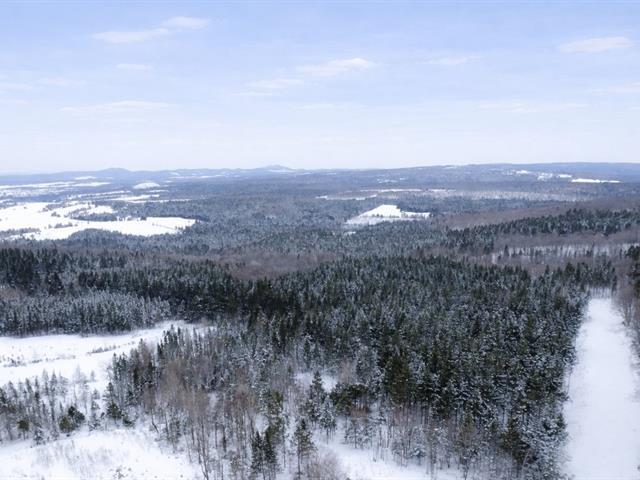 Sacré-cœur-de-Jésus (Chaudière-Appalaches) : Terre à bois de 34 acres, chemin carrossable, chasse, ruisseau, vue imprenable | 3233650