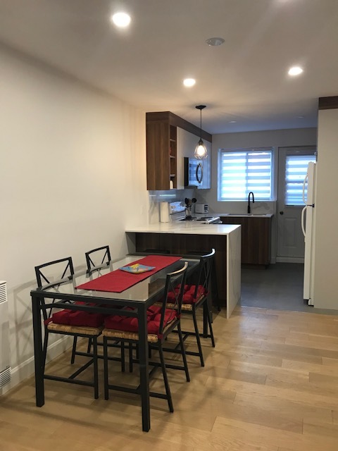 GRAND 4 1/2 MEUBLÉ ET ENTIÈREMENT RÉNOVÉ | 3233452