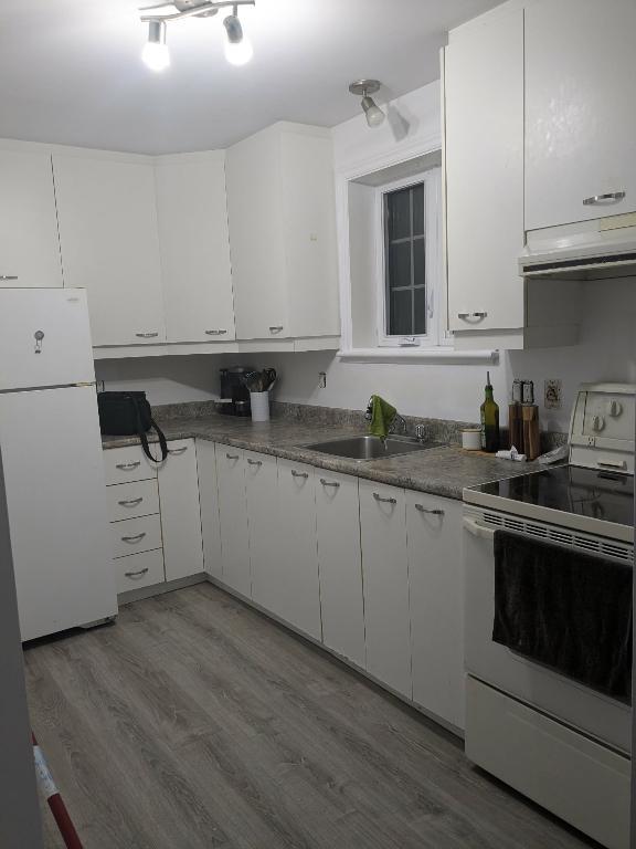 LAC DELAGE 31/2 semi-meublé, stationnements et borne de recharge | 3233498