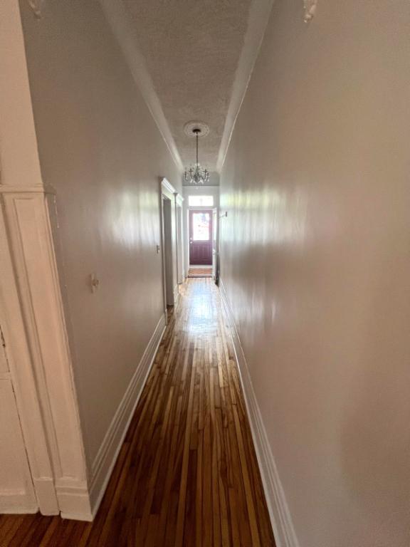 Rosemont 4 1/2 RDC Drolet/Bélanger - JUIN 2026 | 3233532